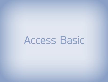 Access-Basic_450x360.jpg